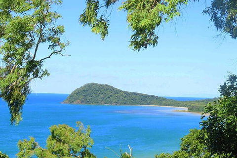 Full Day Tour In The Daintree - Tourism TAS 1