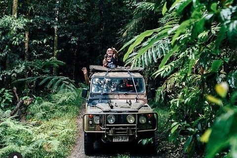 Full Day Tour In The Daintree - Tourism TAS 4