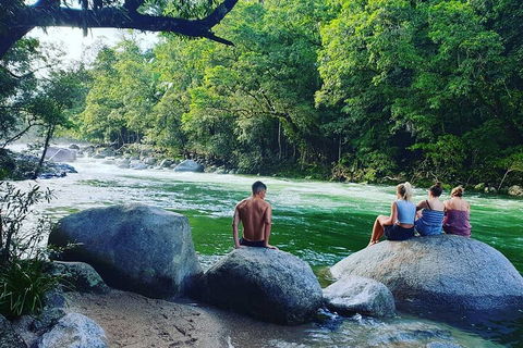 Afternoon Half-Day Daintree Rainforest And River Tour - Tourism TAS 0