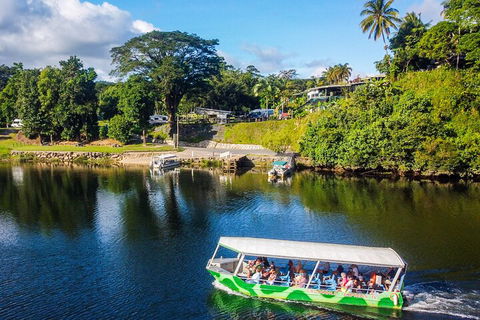 Afternoon Half-Day Daintree Rainforest And River Tour - Tourism TAS 1