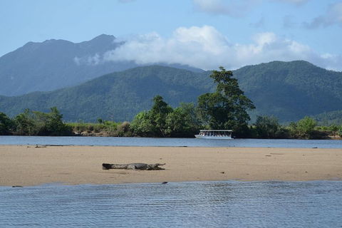 Afternoon Half-Day Daintree Rainforest And River Tour - Tourism TAS 2