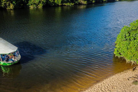 Afternoon Half-Day Daintree Rainforest And River Tour - Tourism TAS 3