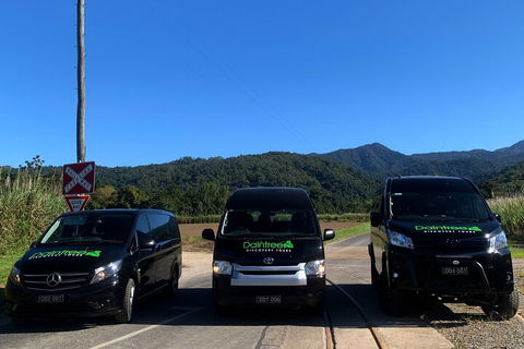 Afternoon Half-Day Daintree Rainforest And River Tour - Tourism TAS 4