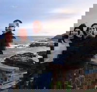 Phillip Island Medium Size Group Tour - Hobart Tourism