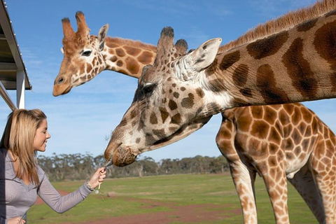 Melbourne City Card (2 Days): Visit Unlimited Attractions! - Hobart Tourism 1