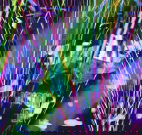 Infinity Attraction - Admission - Tourism TAS