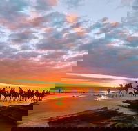 1 Hour Broome Sunset Camel Tour - Hobart Tourism