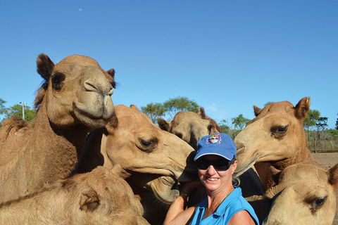 Broome Pre-sunset Camel Tour 30 Minutes - Hobart Tourism 0
