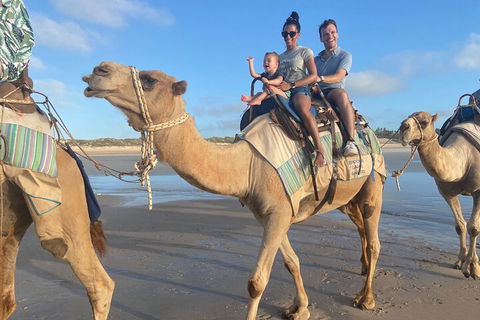 Broome Pre-sunset Camel Tour 30 Minutes - Hobart Tourism 3