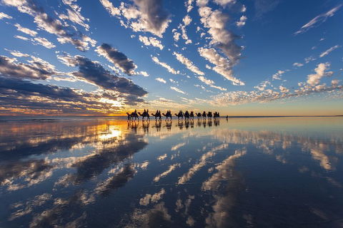 Broome Pre-sunset Camel Tour 30 Minutes - Hobart Tourism 4