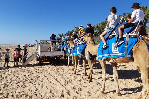 Broome Pre-sunset Camel Tour 30 Minutes - Hobart Tourism 5