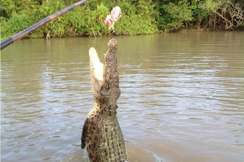 Litchfield National Park And Jumping Crocodile Cruise - Tourism TAS 2