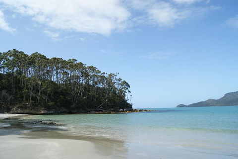 Bruny Island Day Trip From Hobart - Hobart Tourism 1