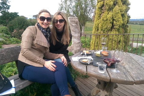 McLaren Vale Intimate Winery Tour By Private Limo - Tourism TAS 4
