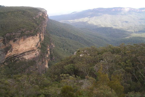 Full-Day Private Blue Mountains Tour With River Cruise - Hobart Tourism 3