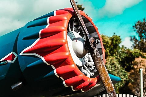 O'Reilly's & Lamington National Park Incl. Alpaca Farm + Vineyard - Hobart Tourism 1