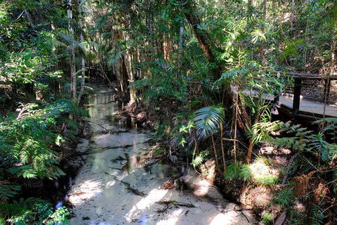 Fraser Island 4WD Tour From Rainbow Beach - Hobart Tourism 0