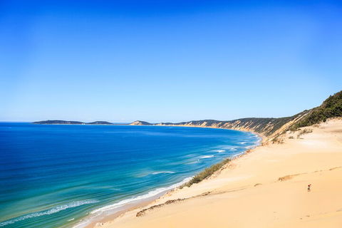 Kayak With Dolphins And 4WD Great Beach Drive Day Trip From Noosa - Hobart Tourism 0