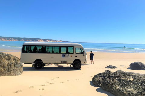 Kayak With Dolphins And 4WD Great Beach Drive Day Trip From Noosa - Hobart Tourism 4