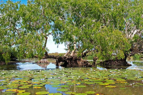 Ethical Adventures - Best In The WET - Litchfield / Kakadu 3 Day- Max 10 Guests - Tourism TAS 1