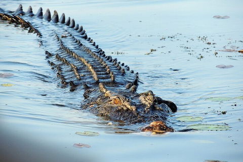 Ethical Adventures - Best In The WET - Litchfield / Kakadu 3 Day- Max 10 Guests - Tourism TAS 4
