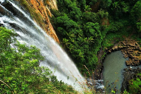Rainforest & Waterfalls Extravaganza - Tourism TAS 1