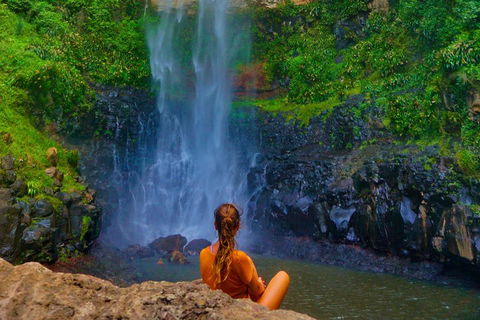 Rainforest & Waterfalls Extravaganza - Tourism TAS 2
