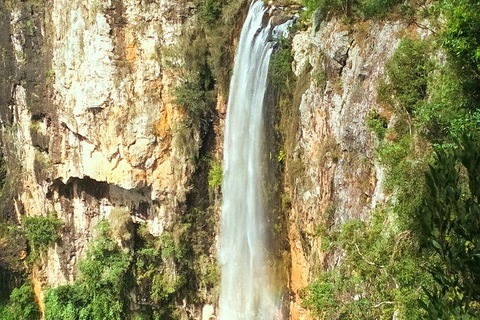 Rainforest & Waterfalls Extravaganza - Tourism TAS 3