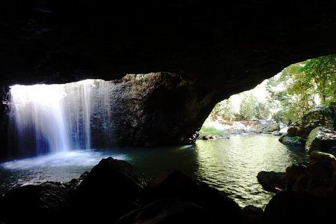 Natural Arch, Rainforest & Volcano Canyon - Private Half Day Tour - Tourism TAS 0