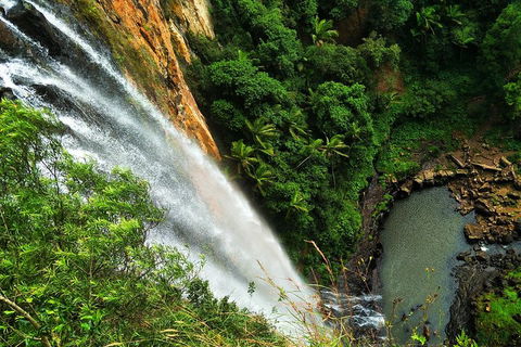 Natural Arch, Rainforest & Volcano Canyon - Private Half Day Tour - Tourism TAS 5