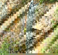 Private Tour - Rainforest  Waterfalls Extravaganza - Tourism TAS