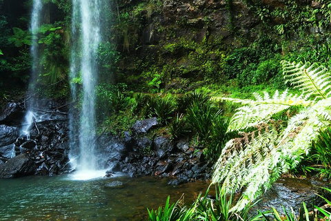 Private Tour - Rainforest & Waterfalls Extravaganza - Hobart Tourism 1