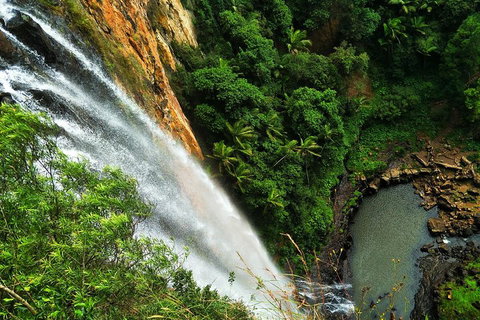 Private Tour - Rainforest & Waterfalls Extravaganza - Hobart Tourism 2