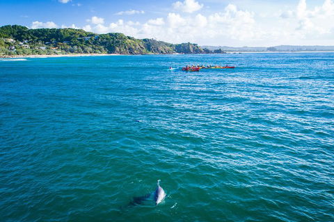 The Byron Bay Sea Kayak Tour - Tourism TAS 2