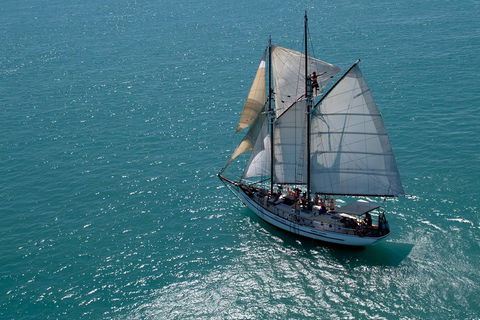 Whitehaven Beach Sailing And Snorkeling Cruise - Hobart Tourism 1