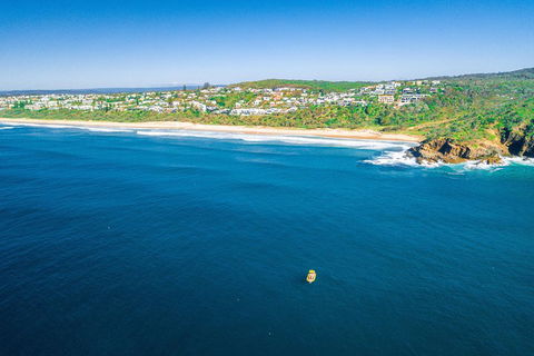2-Hour Guided Whale Watching Tour At Noosa - Hobart Tourism 4