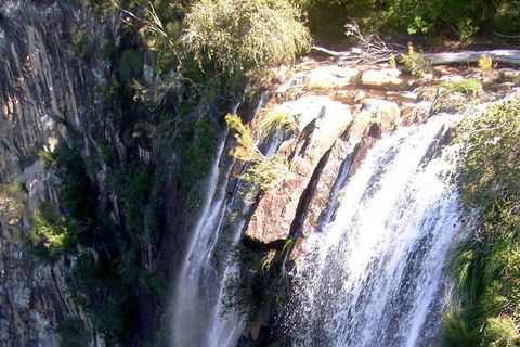 Byron Bay Combo: Hinterland Tour Including Minyon Falls And Kayaking With Dolphins - Tourism TAS 3