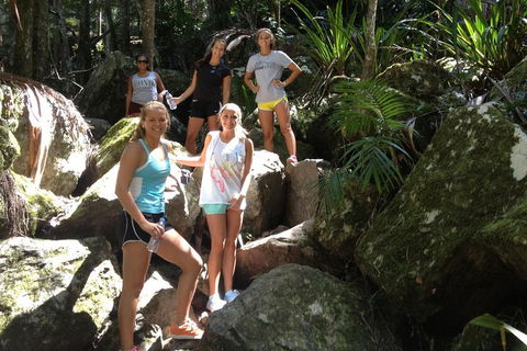 Byron Bay Combo: Hinterland Tour Including Minyon Falls And Kayaking With Dolphins - Tourism TAS 4