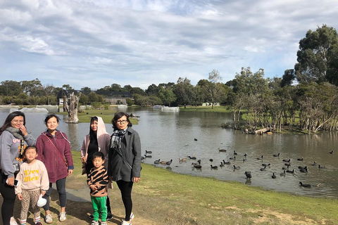 Phillip Island Penguins Private Tour - Hobart Tourism 1