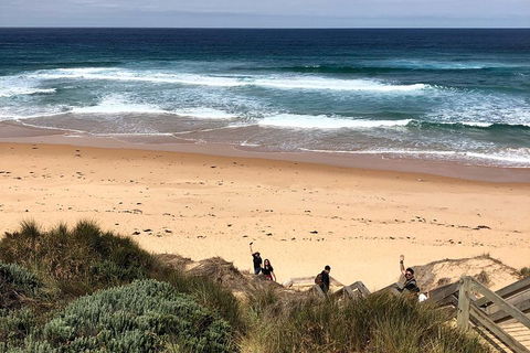 Phillip Island Penguins Private Tour - Hobart Tourism 4