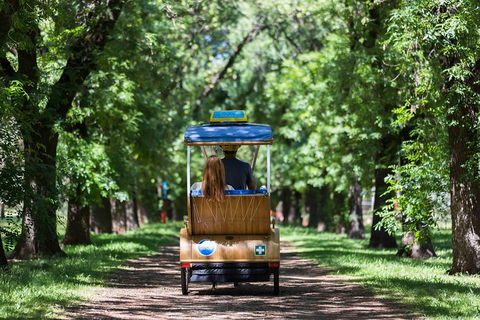 Adelaide 90-Minute Pedicab Tour: Scenic Green & River Experience - Tourism TAS 2