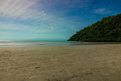 Cape Tribulation Day Tour - Tourism TAS 2