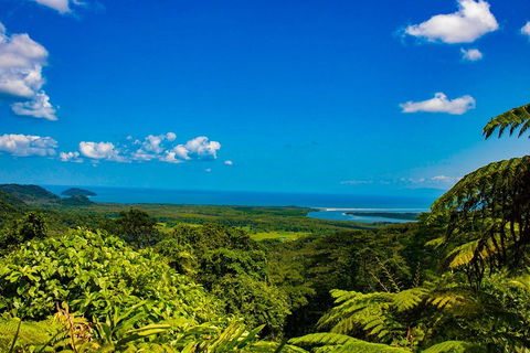 Cape Tribulation Day Tour - Tourism TAS 3