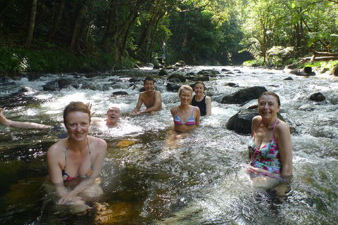 Daintree Rainforest, Cape Tribulation, Mossman Gorge Small-Group Day Tour - Hobart Tourism 0