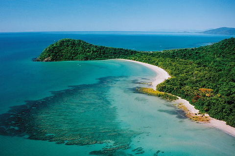 Daintree Rainforest, Cape Tribulation, Mossman Gorge Small-Group Day Tour - Hobart Tourism 4