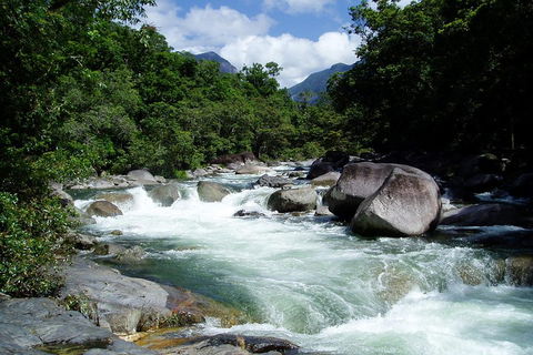 Daintree Rainforest, Cape Tribulation, Mossman Gorge Small-Group Day Tour - Hobart Tourism 5