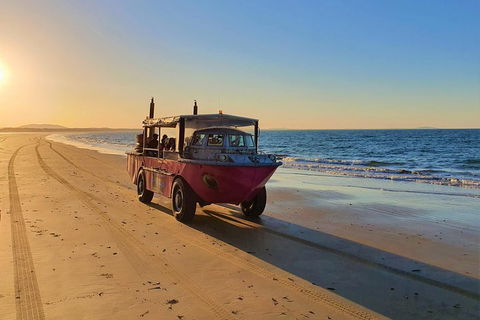 Town Of 1770 Afternoon Cruise - Tourism TAS 1
