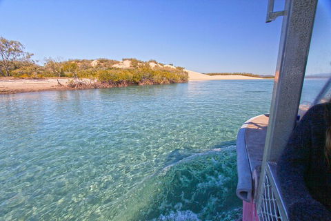 1770 Coastline Tour By LARC Amphibious Vehicle Including Picnic Lunch - Tourism TAS 5
