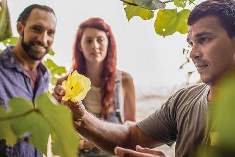 Ngana Julaymba Dungay - Full Day - Tourism TAS 4