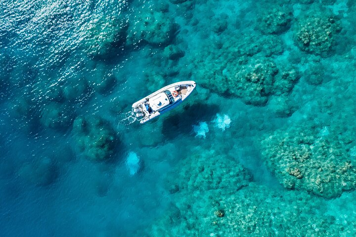 Hamilton Island QLD Hobart Tourism